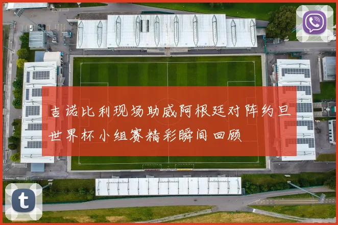 吉诺比利现场助威阿根廷对阵约旦世界杯小组赛精彩瞬间回顾